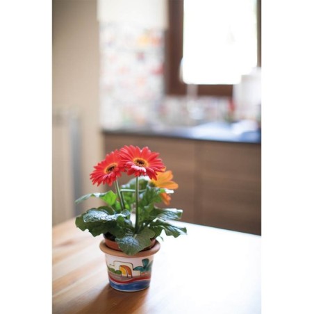 Vaso Portapianta Dammusi VSPT819DA Ceramiche De Simone